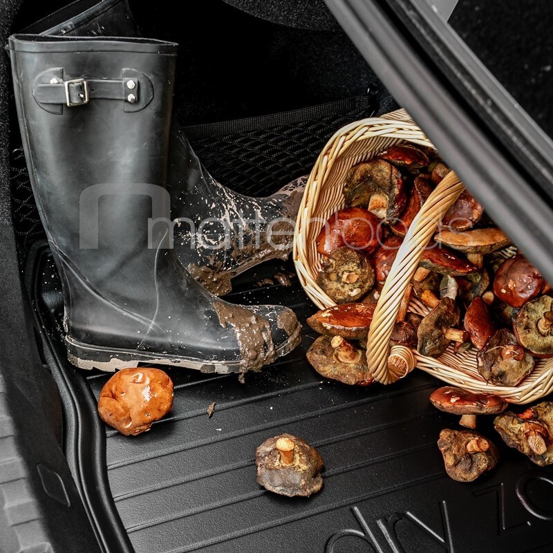 Rubber kofferbakmat BMW X2 F39 Crossover | Kofferbakmat BMW BMW X2 F39 Crossover