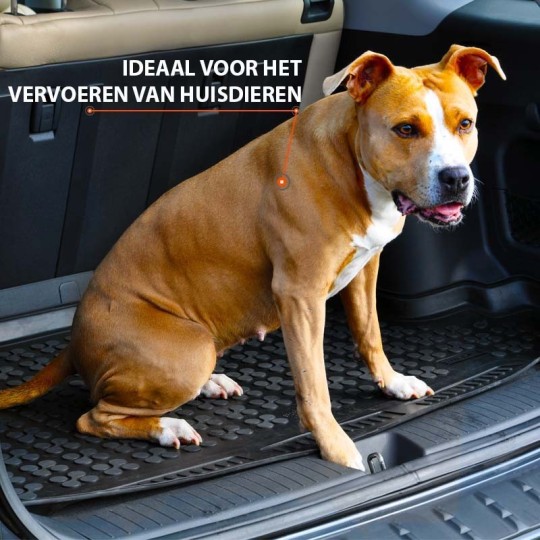 Rubber kofferbakmat BMW 3-serie G20 Hybrid Sedan 2018-heden