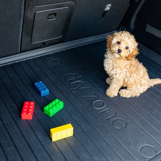 Citroën DS5 kofferbakmat