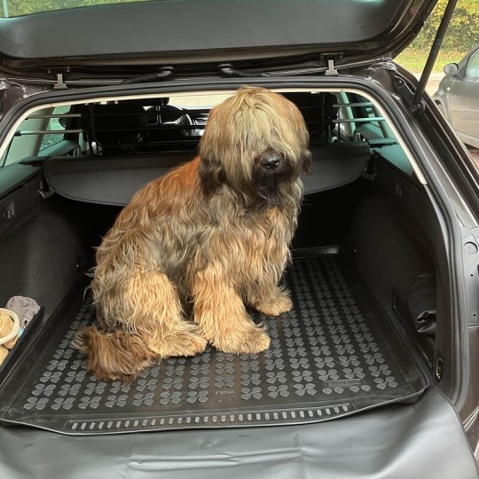 Rubber kofferbakmat Volkswagen Passat B8 Station 2014-heden