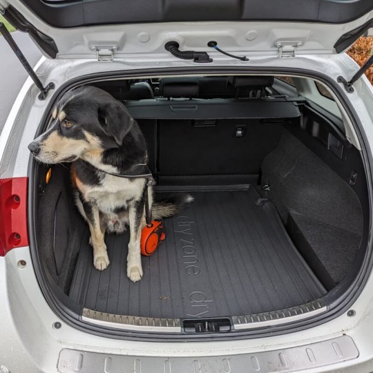 All Weather kofferbakmat Toyota Auris II Touring Sport Station lage vloer 2012-2018