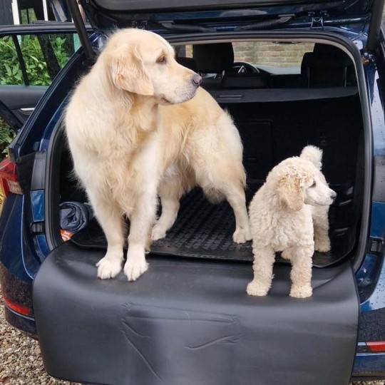 Bumper bescherm mat | bumperbescherming | universeel | 100x70 centimeter | ideaal met honden