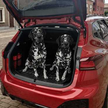 BMW 2-serie F45 Active Tourer rubber kofferbakmat 2014-heden 2